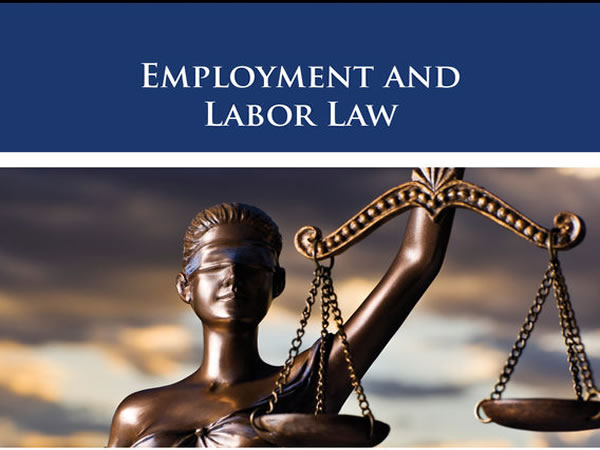 Employment & Labour Relations